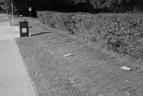 Picture of bus stop with trash