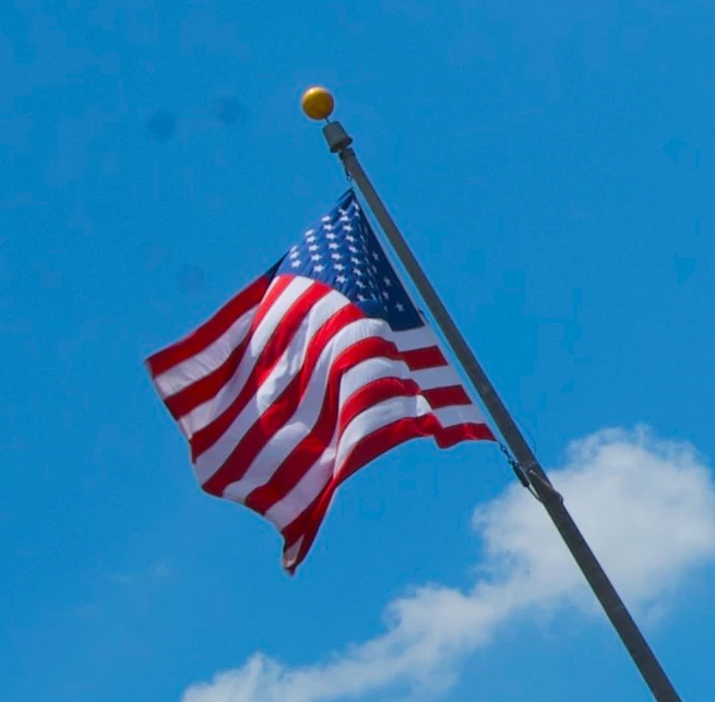 Picture of United States Flag